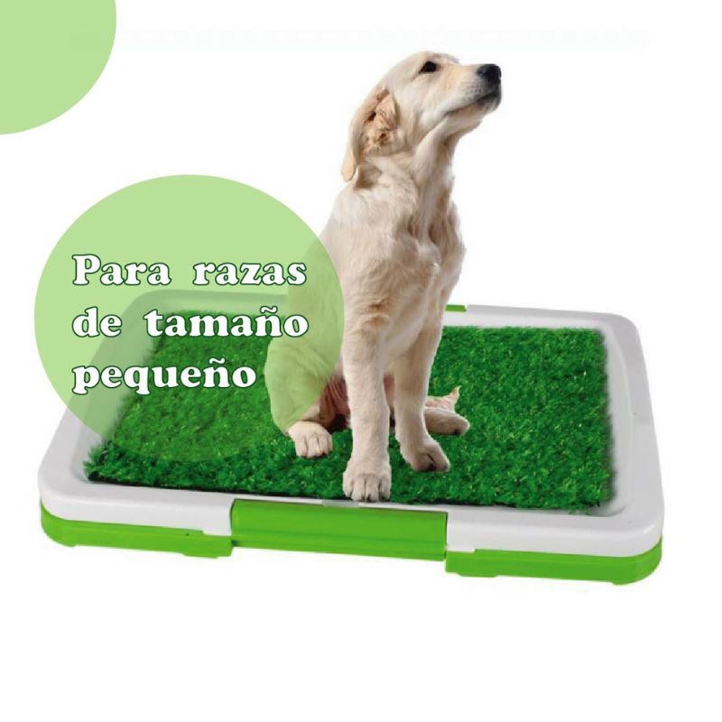 Baño para mascotas ecológico 🐶♻️