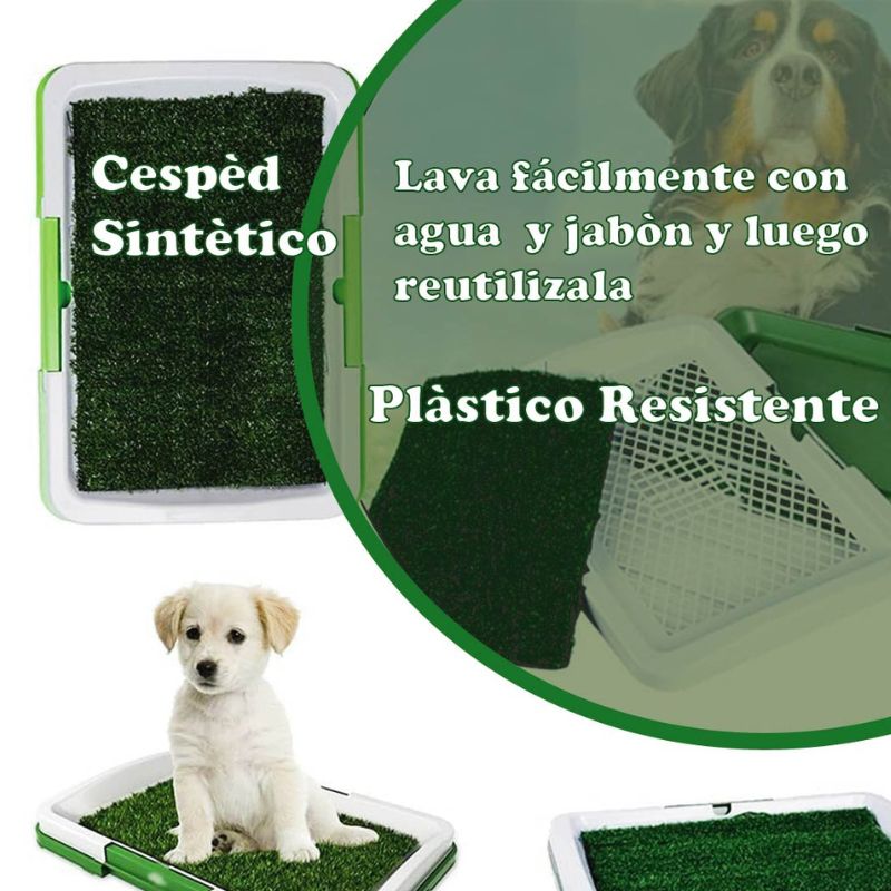 Baño para mascotas ecológico 🐶♻️