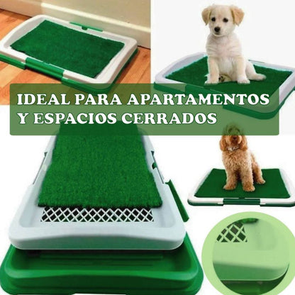 Baño para mascotas ecológico 🐶♻️