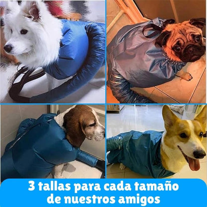 Secador para perros portátil (solo conecta tu secador de cabello)